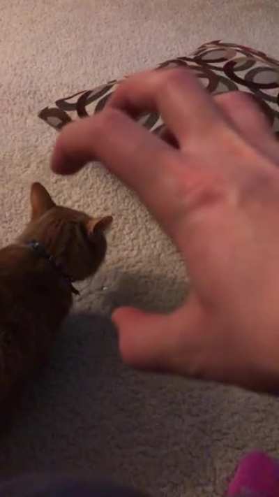 Beware the claw!
