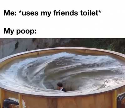 You can use the toilet, they said. It will be fine, they said.