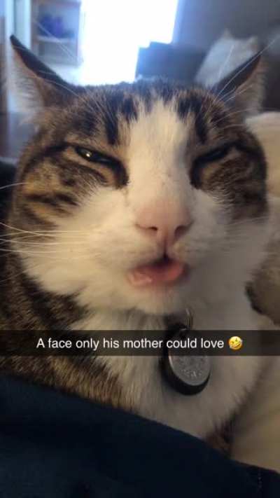 I can’t get enough of this goober!