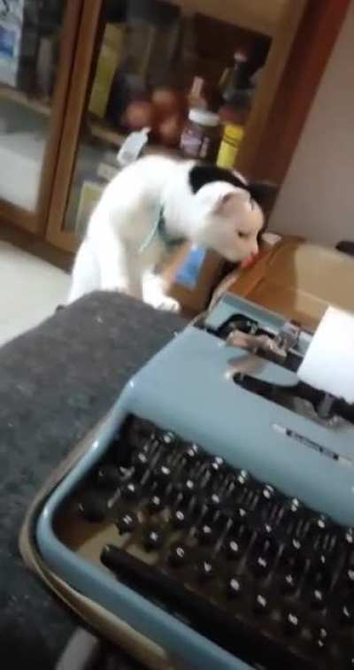 *b*