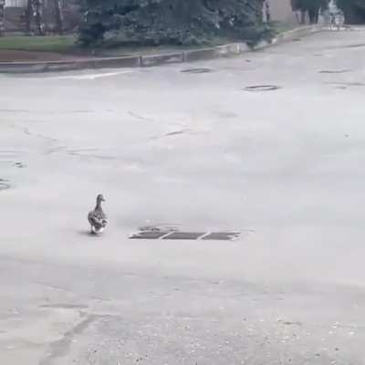 Watch your step!