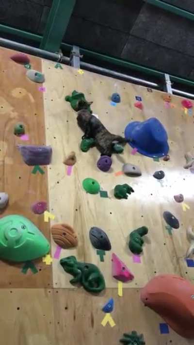 Maybe Maybe Maybe