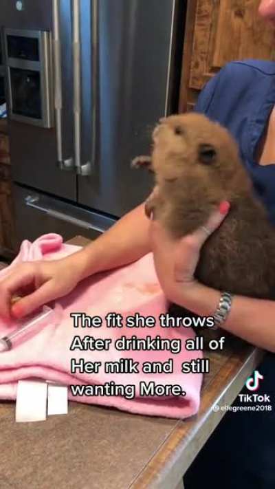 Melting my heart ?
