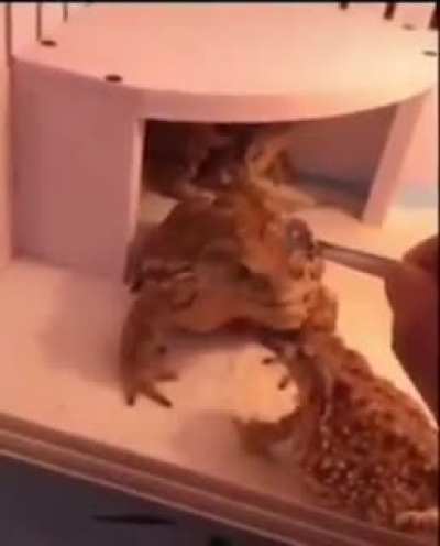 ?