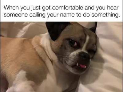 What do they want from me now?