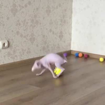 To do sports
