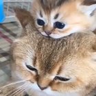 The beginning of fatherhood