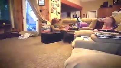 Zoomies: Level Insanity
