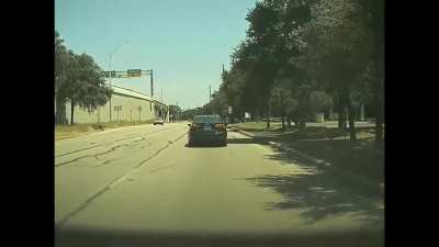 I'm sorry squirrel! Tesla forward &amp; backward camera captures accident.
