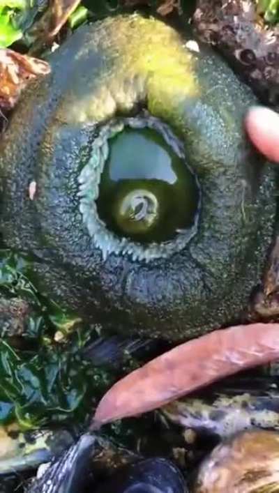 What on earth is this?? ?