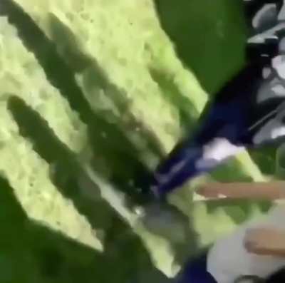 well shit ?