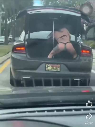 "That's an interesting bumper sticker"