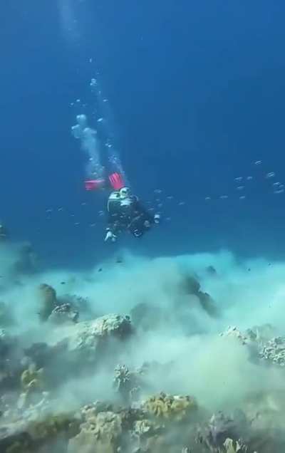 ? Astonishing footage of an underwater earthquake