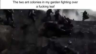 WW?