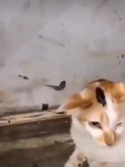 Unexpected mnom.