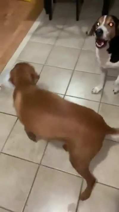 is the turkey finished
