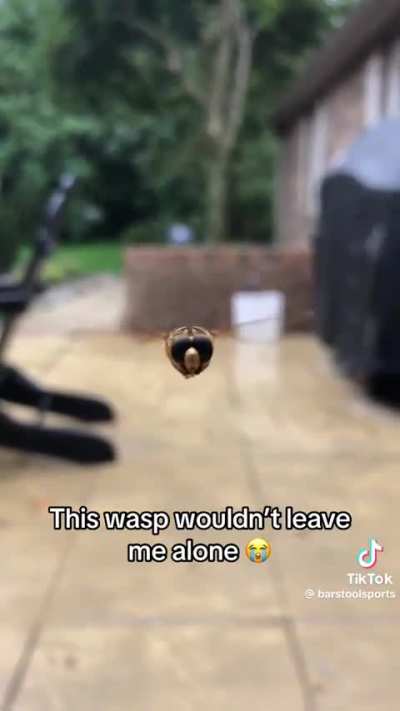 Maybe maybe maybe