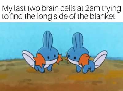 Uh... proceeds to sleep under the bed