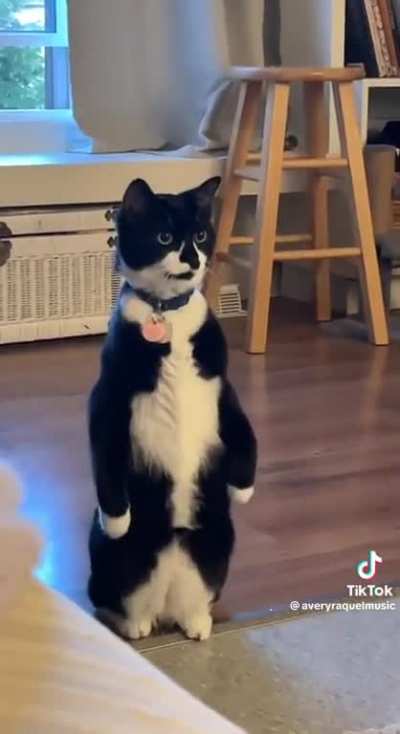 Marvin STOP