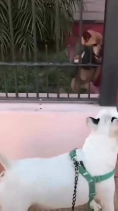 Lmfaooo Karma knows no person, nor animal. ?