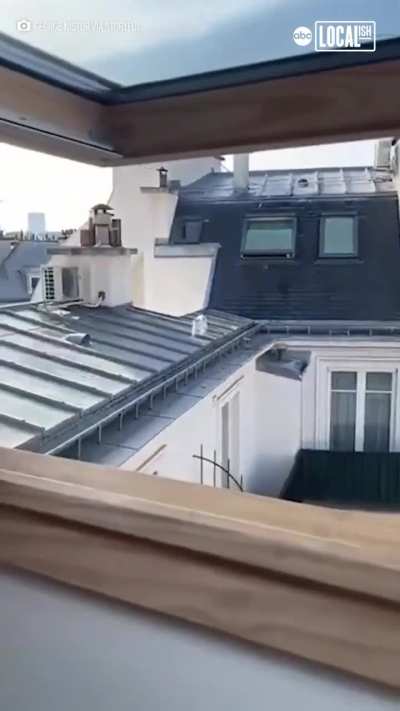 Crazy Neighbor ...