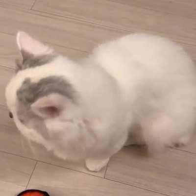 ?