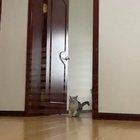 To jump over tape