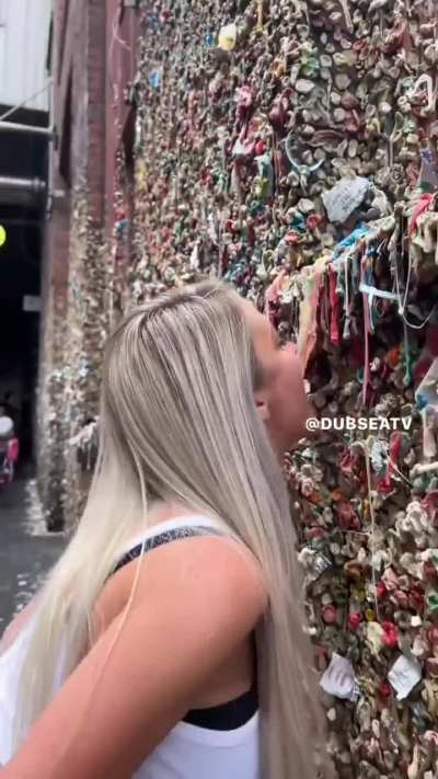 An "awful" wall full of chewed gums!