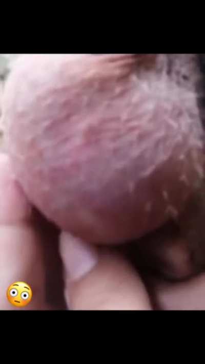 What’s that ?