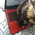 Dora finishing homework, thanks Dora