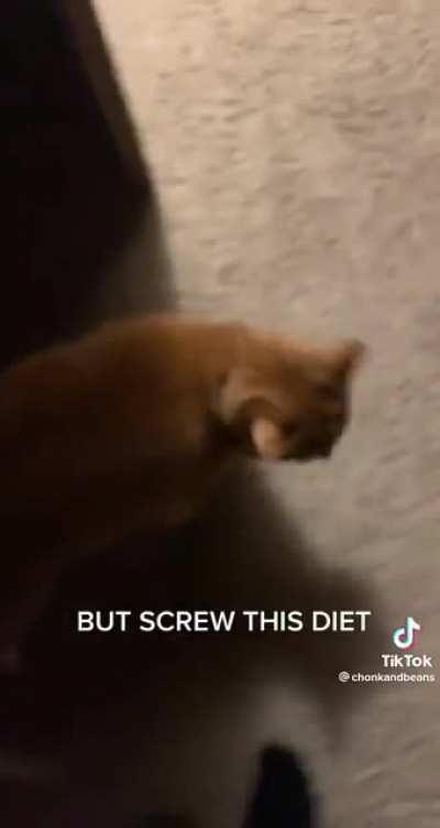 Dieting is hard