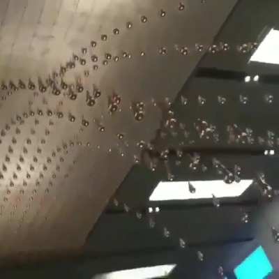 Amazing Lighting