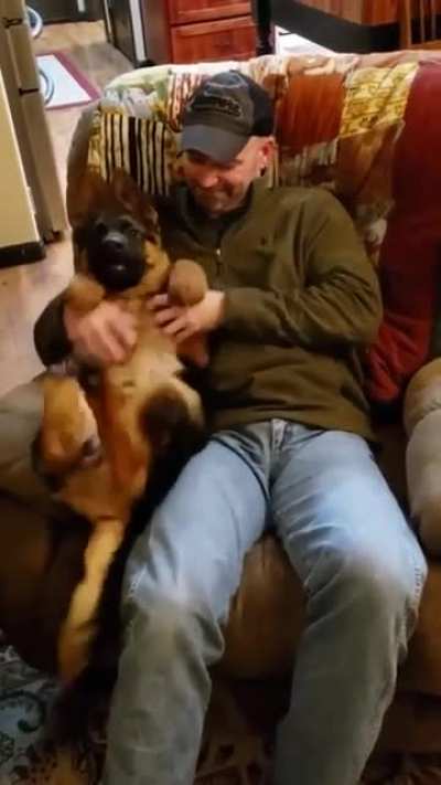 Happy Dog