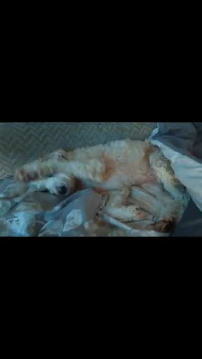 Are you gonna get up ?