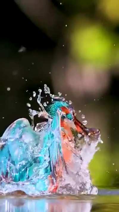 ? The way it rises from the water