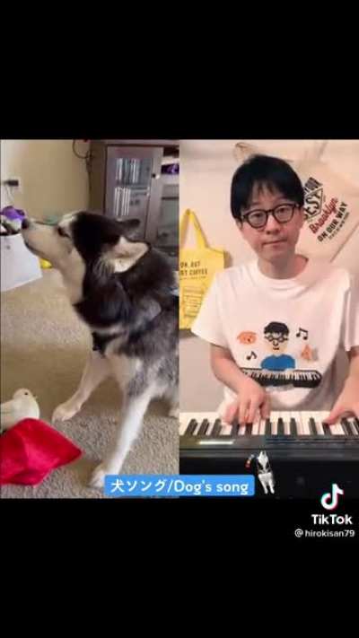 Dog song