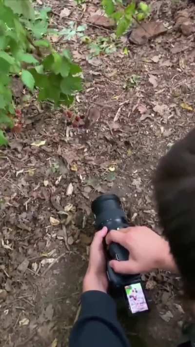 The art of Photography...