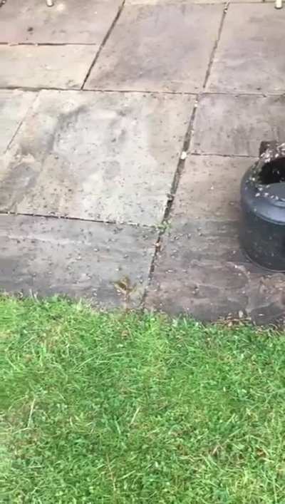 It’s fine, I didn’t want to water the plants anyway...