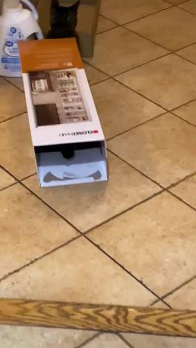 No need to buy toys