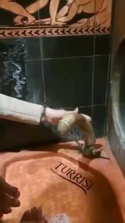 Who even made this sink design??