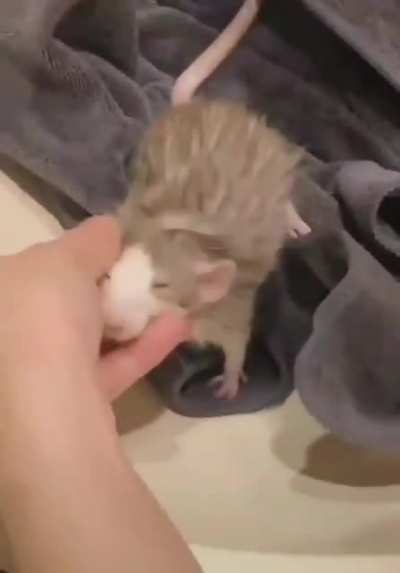 Lil Friend !! ?