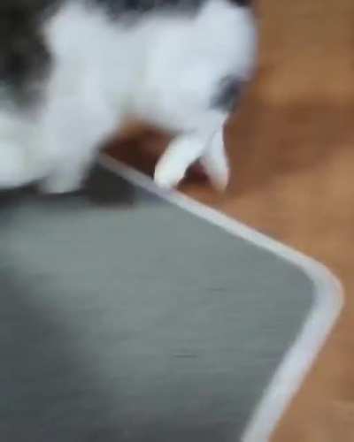Mine mine