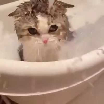 It is a bath time ???