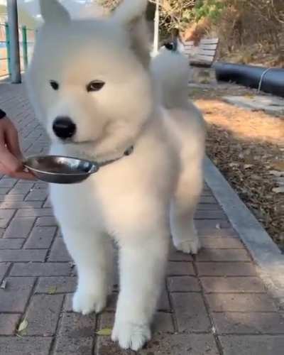 Slur slurp… I love the face she makes when she wants more water ??