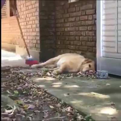 It is time to sleep