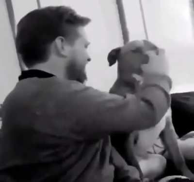 Bop it! Twist it! Pull it!