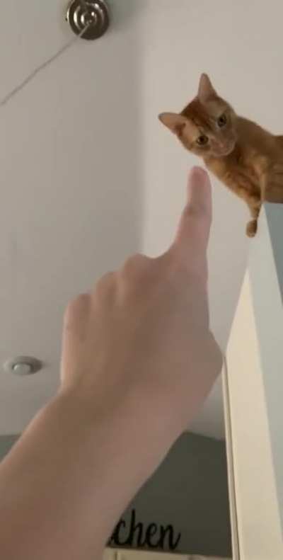 No touchy!