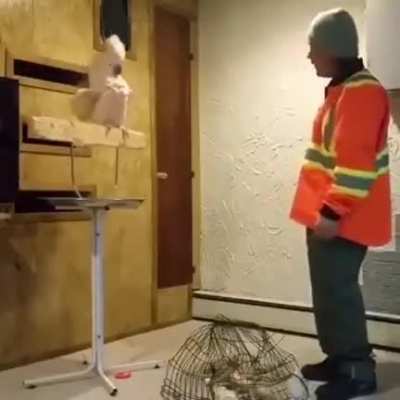 I Feel The Same Way As This Parrot