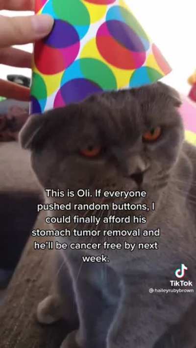 Help this little guy out