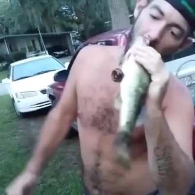 "Gang gang gang"
